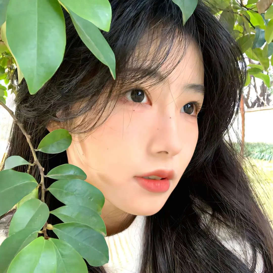 香米小情歌